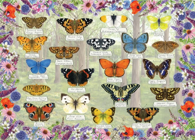 Gibsons Beautiful Butterflies Puzzle 1000 Pieces