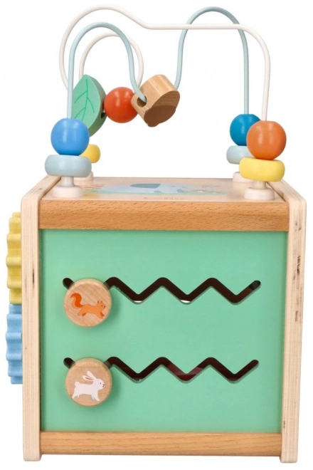 Activity Cube with Motor Loop