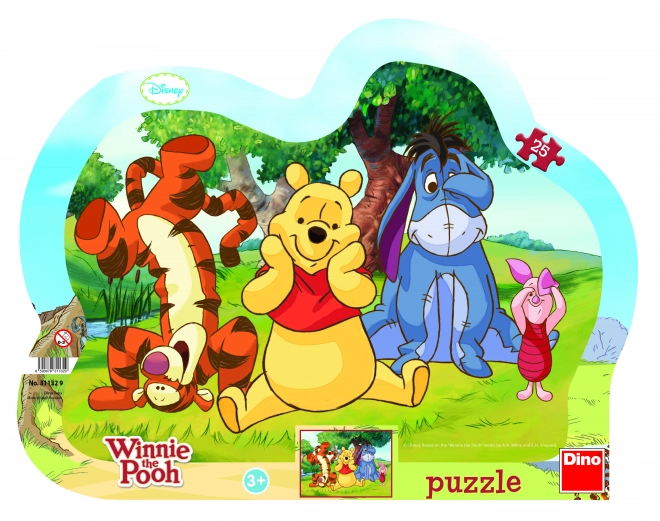 Winnie The Pooh Hide and Seek Puzzle