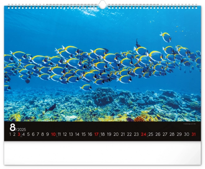 Wall Calendar Ocean 2025