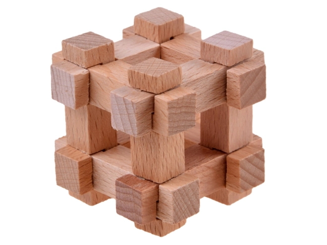 Metal Brain Teaser Puzzle Set
