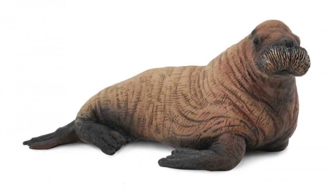 Walrus Calf Toy Figure