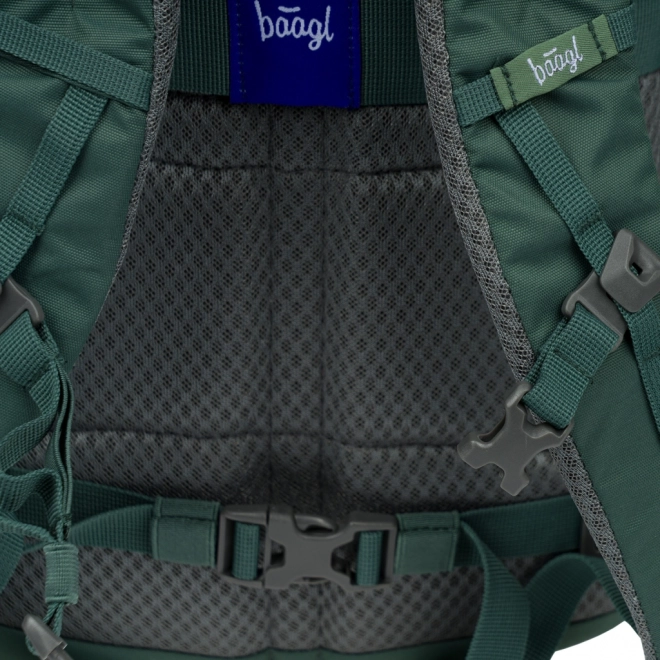 Baagl Dash Max Green Backpack