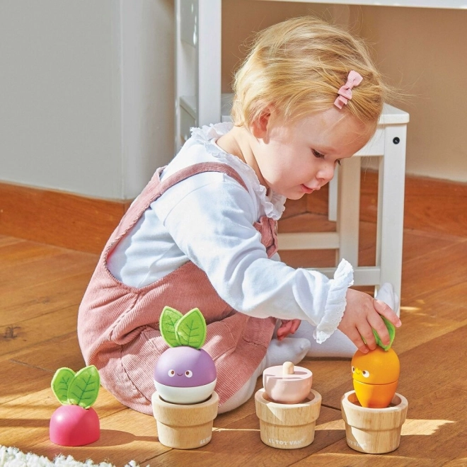 Le Toy Van vegetable garden set