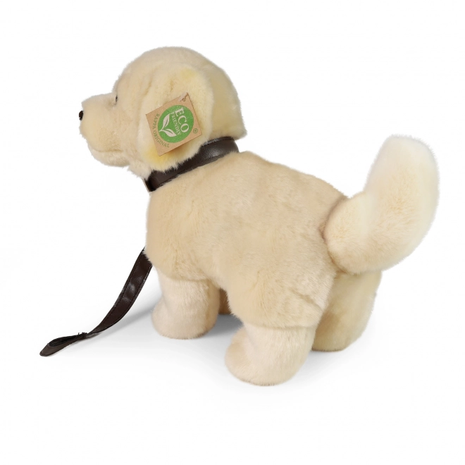 Plush Golden Retriever with Leash Eco-Friendly