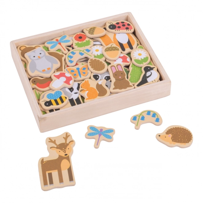 Forest Animal Magnets by Bigjigs Toys