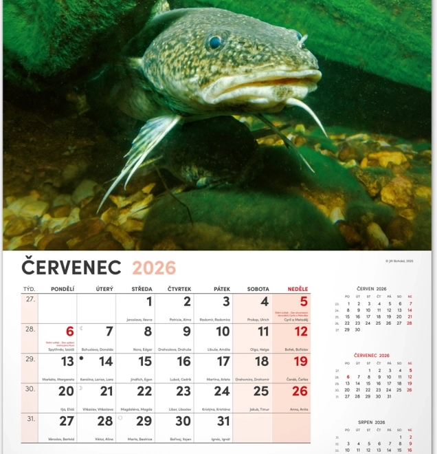 Calendrier mural de pêche 2026