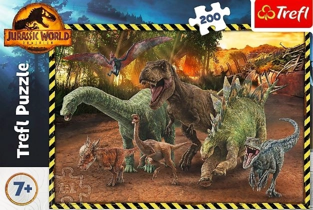 Dinosaur Puzzle from Jurassic Park