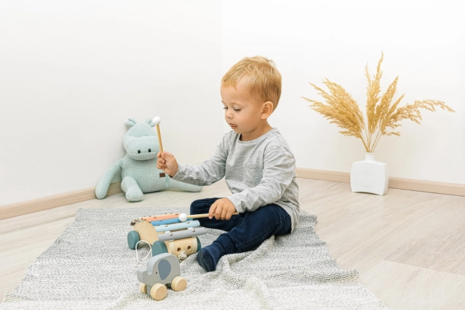 Wooden Pull-Along Xylophone for Kids