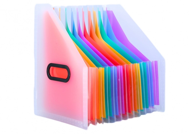 Pionmap organizer voor documenten met gekleurde tabs en vakken A4