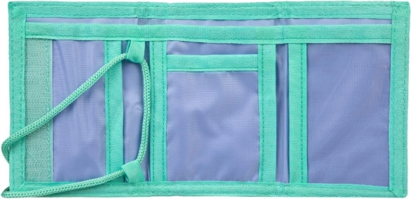 Children's Wallet Frozen