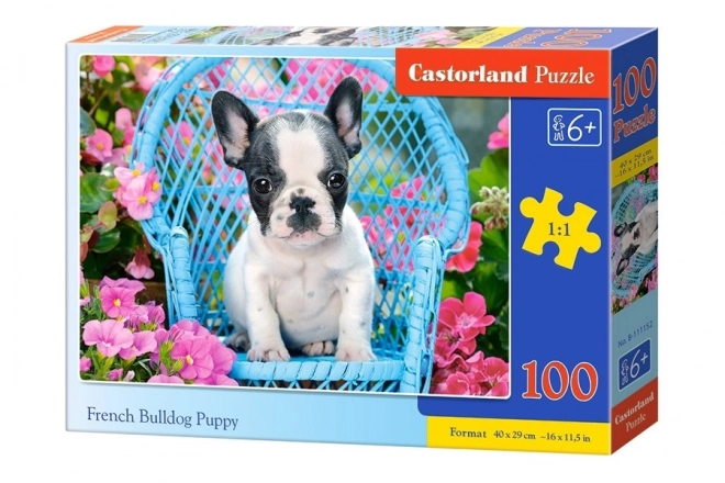 French Bulldog Puppy Jigsaw Puzzle