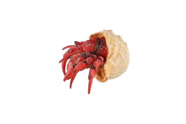 Hermit Crab Toy in Plastic 7cm