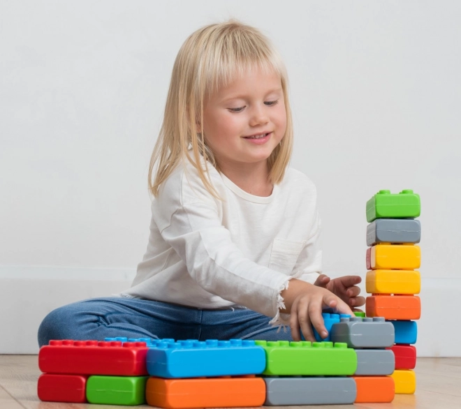 Building Blocks Bricks Junior Set