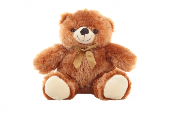 Plush Bear Toy