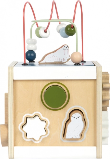 Motor Skills Cube Arctic Animals