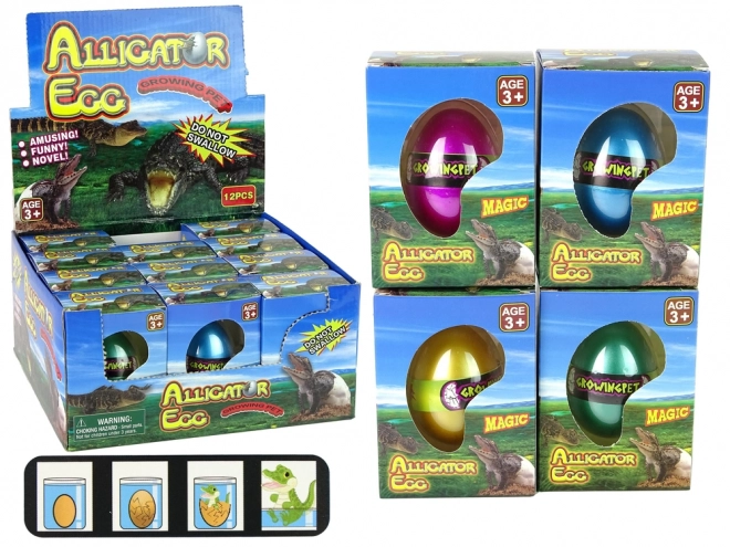 Growing Alligator Egg Toy