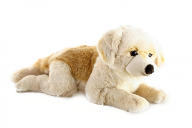 Large Plush Retriever