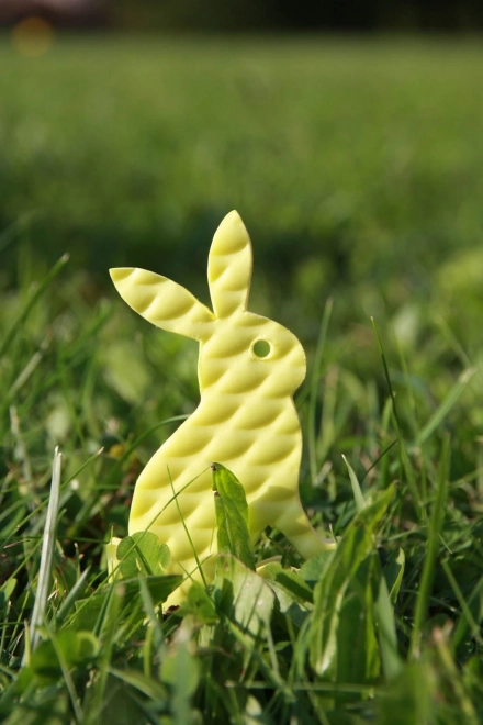 Water Decals - Foam Animals for Bath - Forest