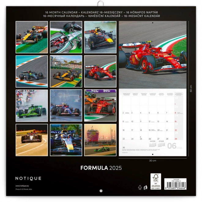 Calendario da parete Formula 1 2025 di Jiří Křenek