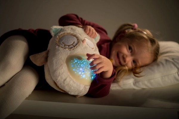 Sleepy Owl Night Light Toy