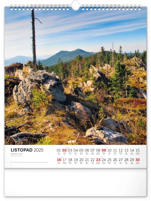 Wall Calendar Bohemian Forest 2025