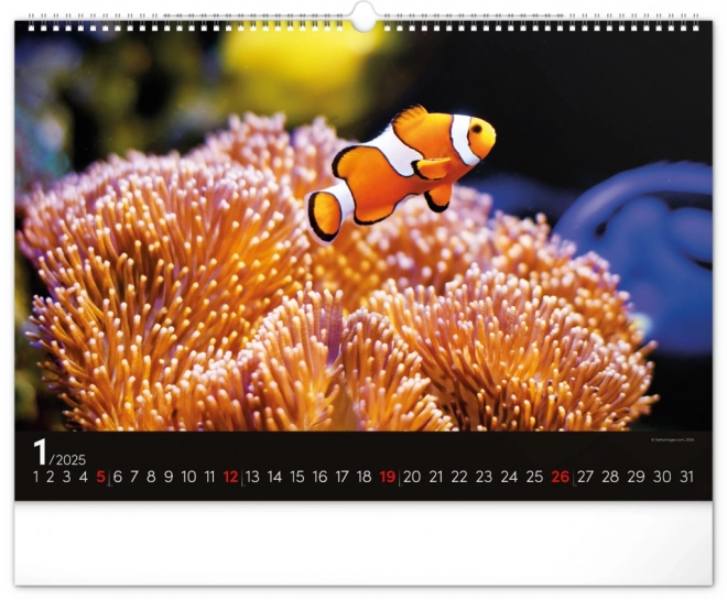 Wall Calendar Ocean 2025