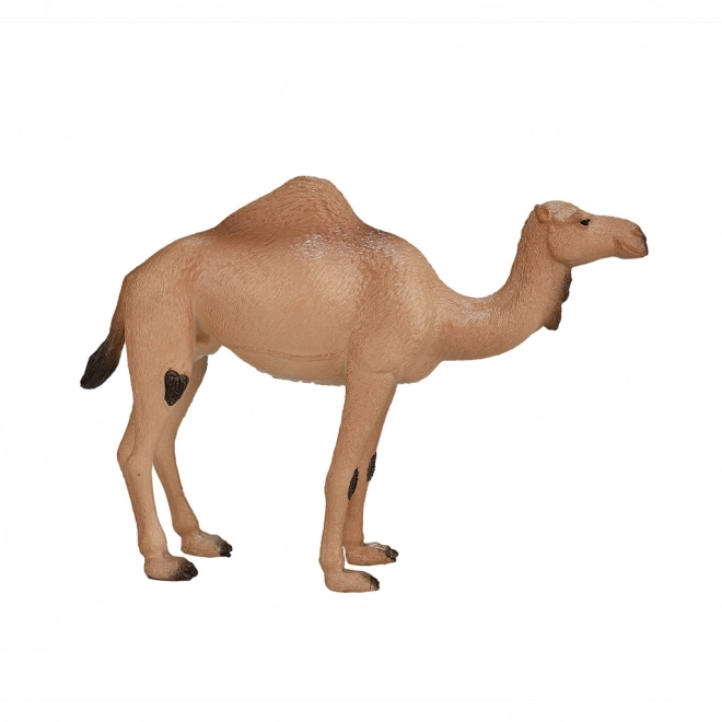 Realistic Dromedary Camel Figure