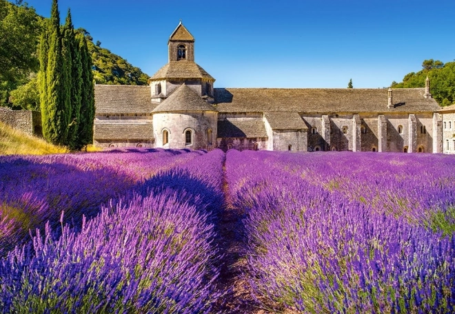 Puzzle Lavender Field in Provence