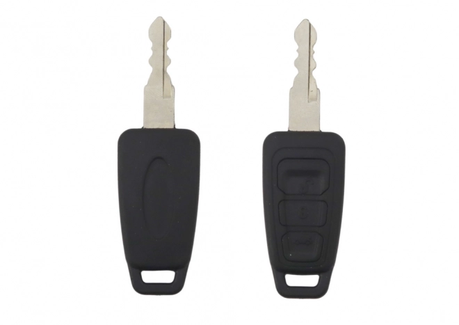 Universal Battery-Powered Vehicle Key