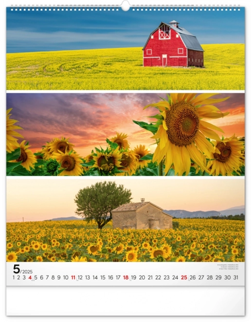 Wall Calendar Palette 2025