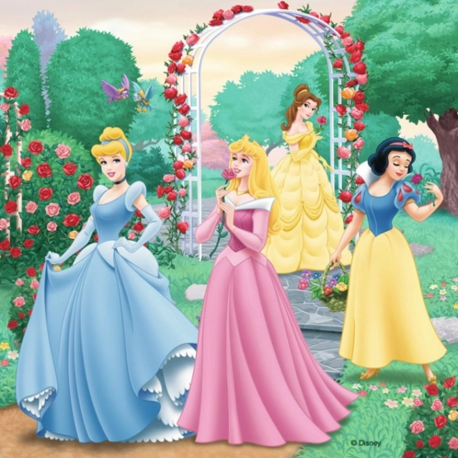 Ravensburger Disney Princess Dreams Puzzle Set