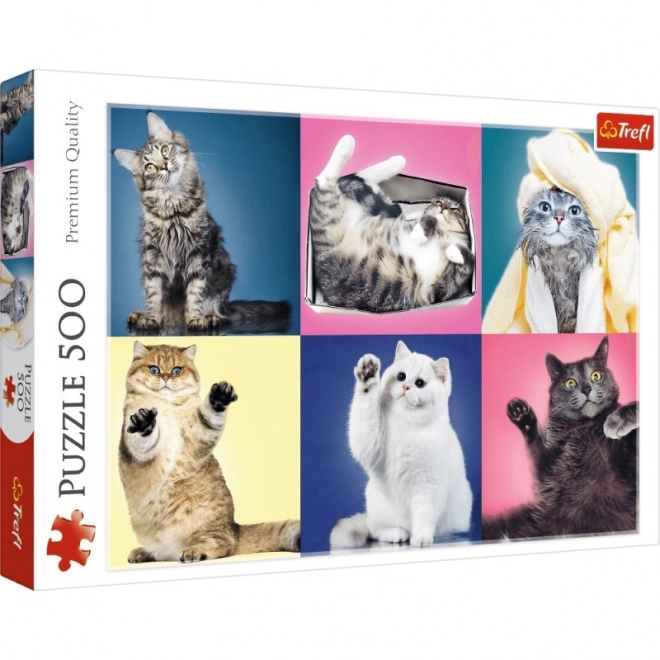 Charming Kittens Jigsaw Puzzle 500 Pieces