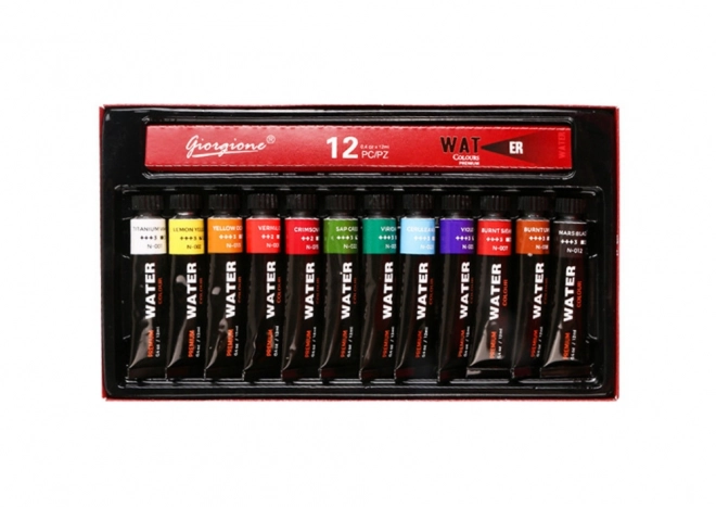 Acrylic Paint Set with 12 Colors