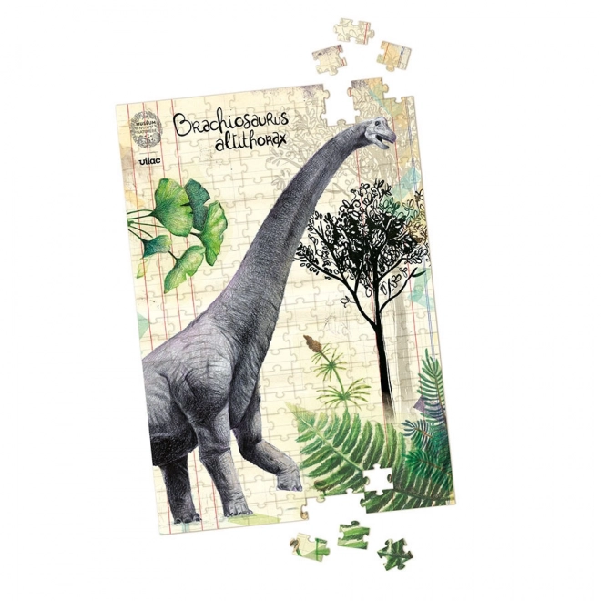 Dinosaur Puzzle Set by Vilac