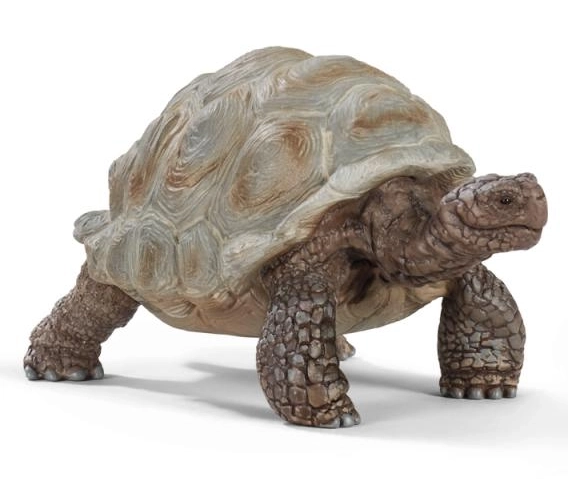 Giant Tortoise Schleich Wild Life