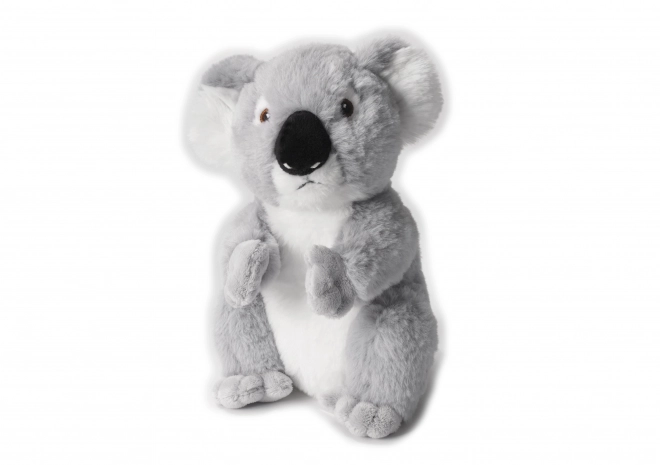 Eco Friendly Koala Plush 22 cm