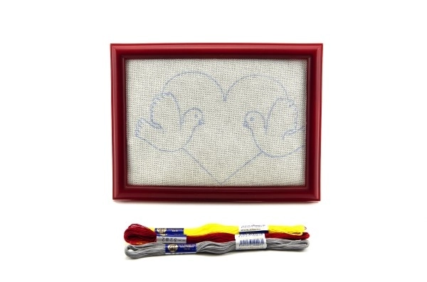 Embroidery Kit with Frame