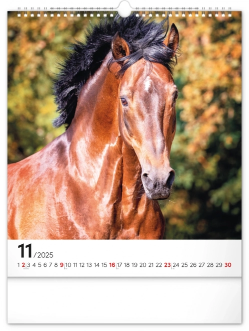 Wall Calendar Horses 2025