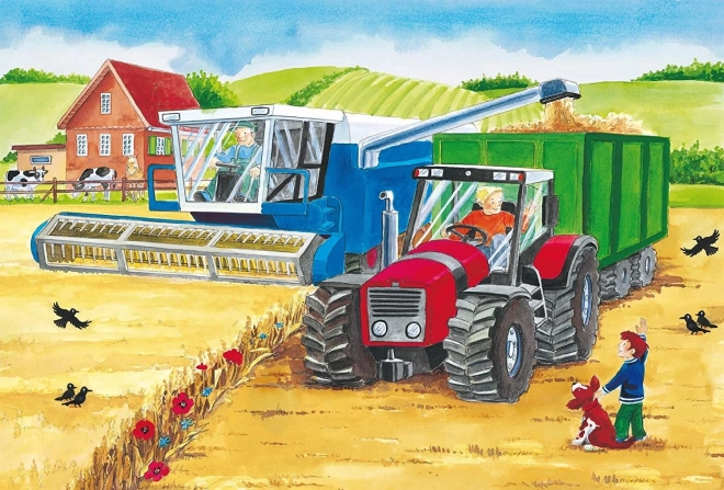 Schmidt Puzzle On The Farm 3x24 Pieces