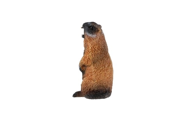 Forest Marmot Toy Figure