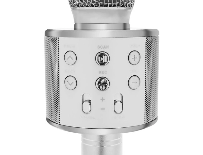 Wireless Karaoke Microphone Speaker – silver