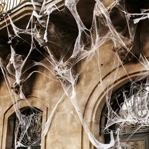 Artificial Halloween Spider Web with Spiders