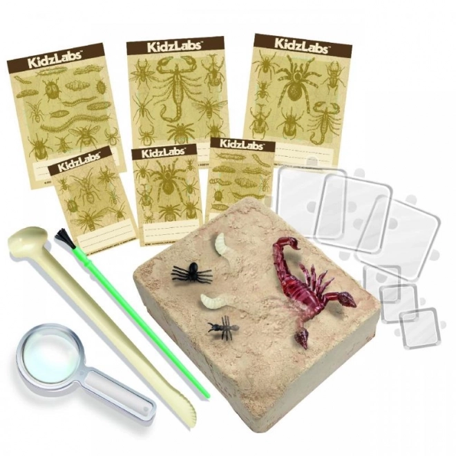 4M Spooky Excavation Kit