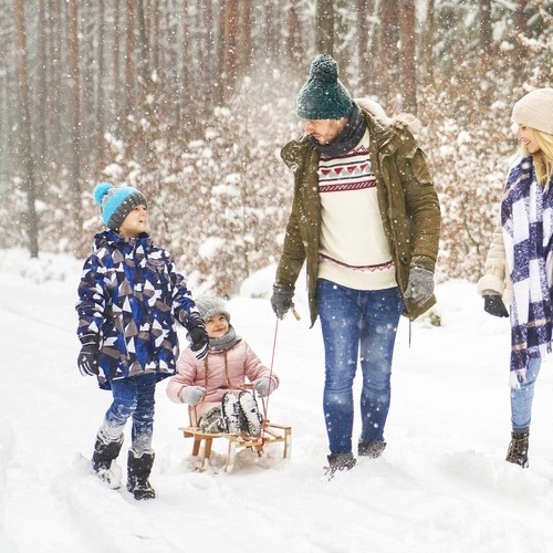 Wooden Sledge with Backrest