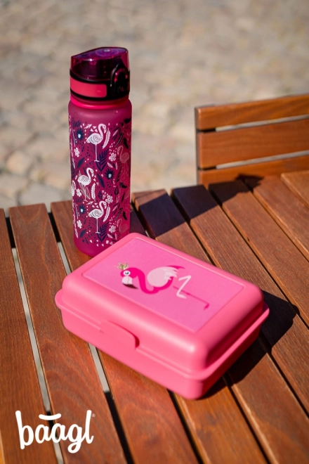 Water Bottle with Lockable Lid Flamingo 500ml by Baagl