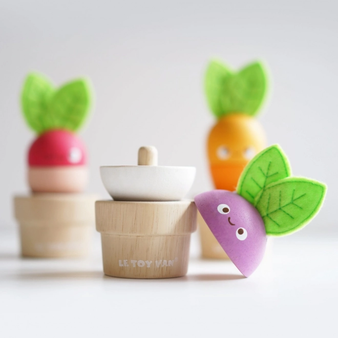 Le Toy Van vegetable garden set