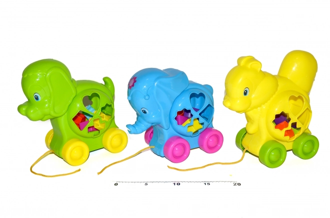 Educational Animal Shape Sorter 18 cm