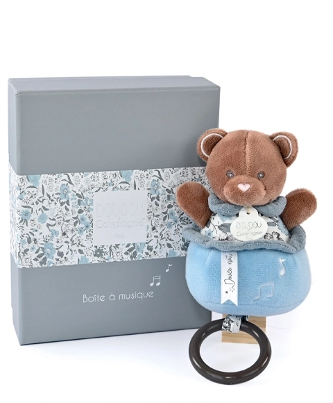 Musical Plush Teddy Gift Set