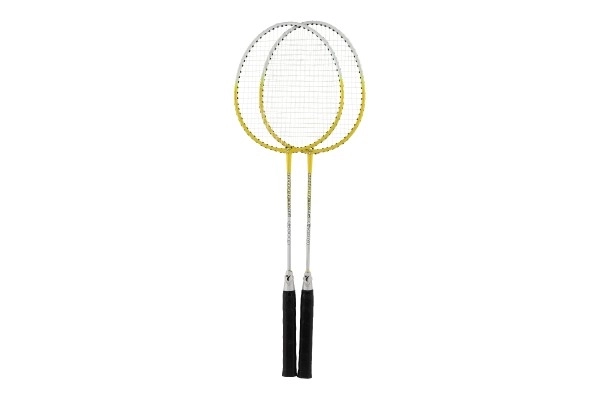 Deluxe Badminton Set